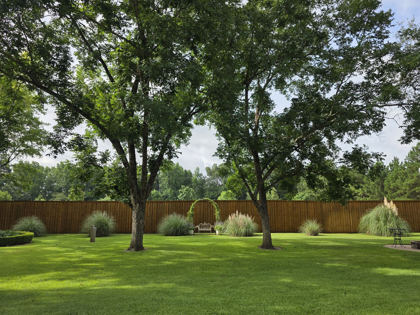 Ceremony arch and bench framed by oaks on the back lawn